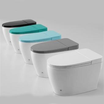 tankless air drying toilet