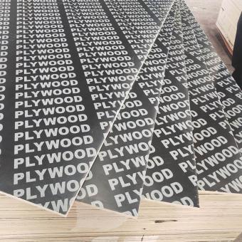 Film Faced Plywood Sheet